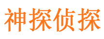 将乐市侦探公司